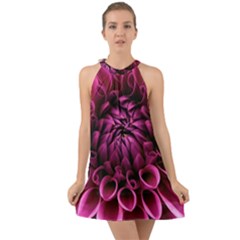 Dahlia-flower-purple-dahlia-petals Halter Tie Back Chiffon Dress by Sapixe