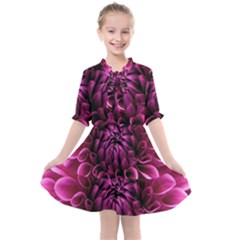 Dahlia-flower-purple-dahlia-petals Kids  All Frills Chiffon Dress