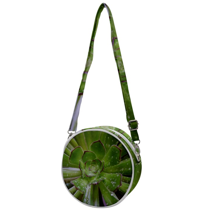 The Heart Of The Green Sun Crossbody Circle Bag