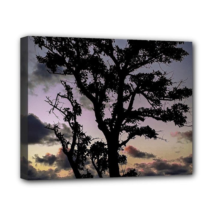 Sunset Coastal Park Landscape, Montevideo Uruguay Canvas 10  x 8  (Stretched)