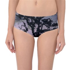 Sunset Coastal Park Landscape, Montevideo Uruguay Mid-waist Bikini Bottoms