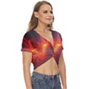 Fractal Twist Front Crop Top View3