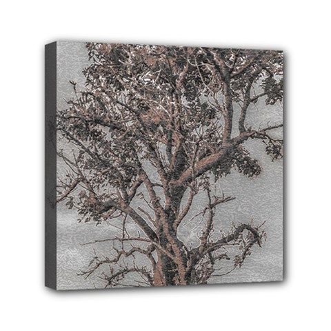 Big Tree Photo Illustration Mini Canvas 6  X 6  (stretched)