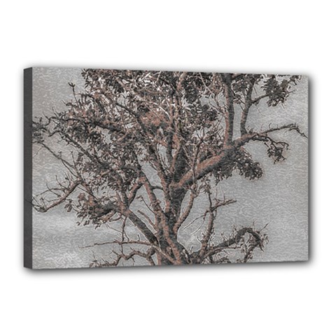 Big Tree Photo Illustration Canvas 18  X 12  (stretched)