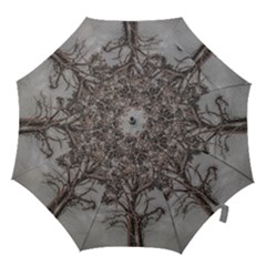 Big Tree Photo Illustration Hook Handle Umbrellas (medium) by dflcprintsclothing