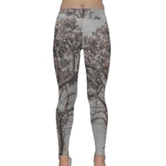 Big Tree Photo Illustration Classic Yoga Leggings