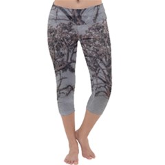 Big Tree Photo Illustration Capri Yoga Leggings by dflcprintsclothing