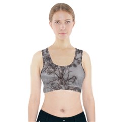 Big Tree Photo Illustration Sports Bra With Pocket by dflcprintsclothing