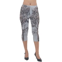 Big Tree Photo Illustration Lightweight Velour Capri Leggings  by dflcprintsclothing