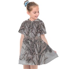 Big Tree Photo Illustration Kids  Sailor Dress by dflcprintsclothing