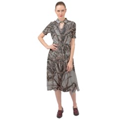 Big Tree Photo Illustration Keyhole Neckline Chiffon Dress by dflcprintsclothing