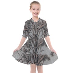 Big Tree Photo Illustration Kids  All Frills Chiffon Dress by dflcprintsclothing