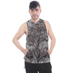 Big Tree Photo Illustration Men s Sleeveless Hoodie by dflcprintsclothing