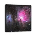 M42 Mini Canvas 6  x 6  (Stretched) View1