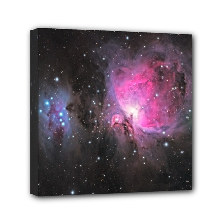 M42 Mini Canvas 6  x 6  (Stretched)