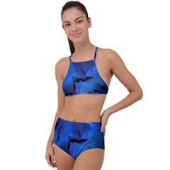 Peony In Blue High Waist Tankini Set