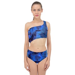 Peony In Blue Spliced Up Two Piece Swimsuit by LavishWithLove