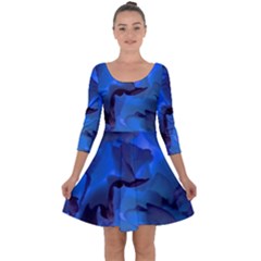 Peony In Blue Quarter Sleeve Skater Dress