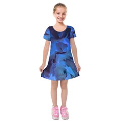 Peony In Blue Kids  Short Sleeve Velvet Dress