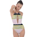 Janet 1 Plunge Cut Halter Swimsuit View1