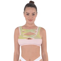 Janet 1 Bandaged Up Bikini Top by Janetaudreywilson