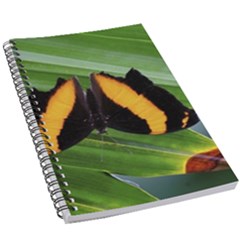 Butterfly  5 5  X 8 5  Notebook by DimitriosArt