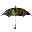 Grutas Del Palacio, Flores, Uruguay Hook Handle Umbrellas (Medium) View3