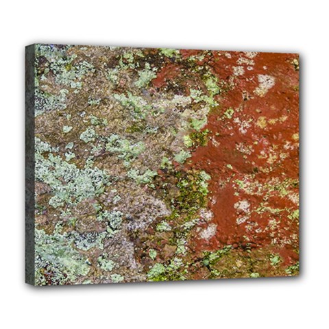 Colorful Abstract Texture Deluxe Canvas 24  X 20  (stretched)