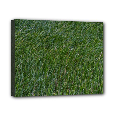 Green Carpet Canvas 10  X 8  (stretched) by DimitriosArt