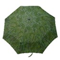 Green carpet Folding Umbrellas View1