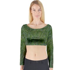 Green Carpet Long Sleeve Crop Top by DimitriosArt