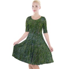 Green Carpet Quarter Sleeve A-line Dress by DimitriosArt