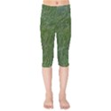 Green carpet Kids  Capri Leggings  View1