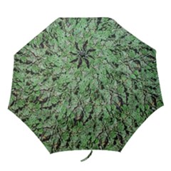 Botanic Camouflage Pattern Folding Umbrellas by dflcprintsclothing