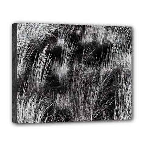 Field Of Light Abstract 1 Deluxe Canvas 20  X 16  (stretched) by DimitriosArt