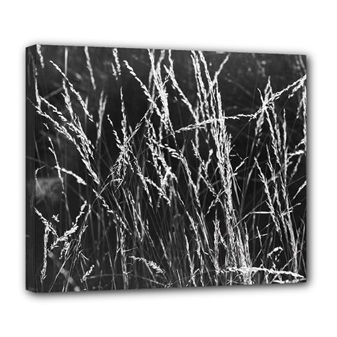 Field Of Light Abstract 3 Deluxe Canvas 24  X 20  (stretched) by DimitriosArt