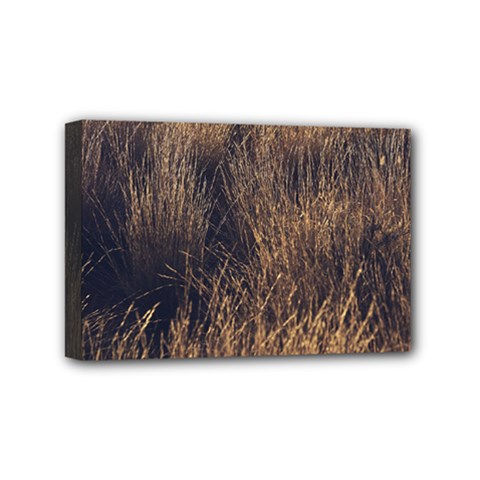 Field Of Light Pattern 1 Mini Canvas 6  X 4  (stretched) by DimitriosArt