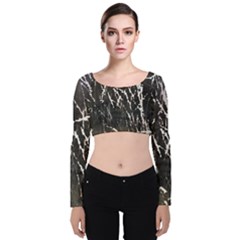 Abstract Light Games 1 Velvet Long Sleeve Crop Top by DimitriosArt