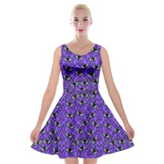 Friggin Bats  Velvet Skater Dress by NerdySparkleGoth