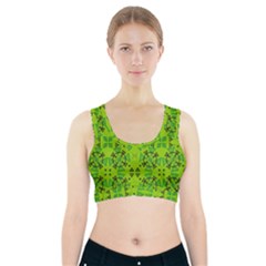 Abstract Pattern Geometric Backgrounds   Sports Bra With Pocket by Eskimos