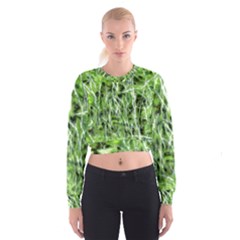 Green Desire Cropped Sweatshirt