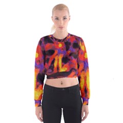 Requiem  Of The Lava  Stars Cropped Sweatshirt