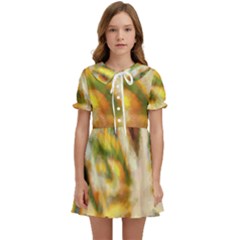 Requiem  Of The Yellow Stars Kids  Sweet Collar Dress