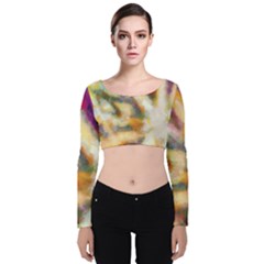 Requiem  Of The Rainbow Stars Velvet Long Sleeve Crop Top by DimitriosArt