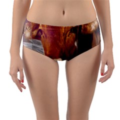 Picsart 22-03-21 13-33-20-883 Reversible Mid-waist Bikini Bottoms by jellybeansanddinosaurs