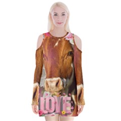 Picsart 22-03-21 13-33-20-883 Velvet Long Sleeve Shoulder Cutout Dress