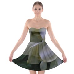 The Peace Strapless Bra Top Dress by intuitionapparel