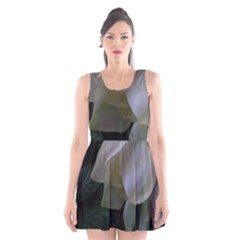 The Peace Scoop Neck Skater Dress by intuitionapparel