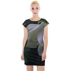 The Peace Cap Sleeve Bodycon Dress