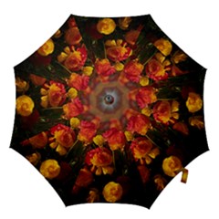 Vered-caspi-orlqbmy1om8-unsplash Hook Handle Umbrellas (medium) by jellybeansanddinosaurs